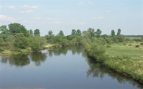 River Warta – Poland, Flagship restoration measure | REFORM