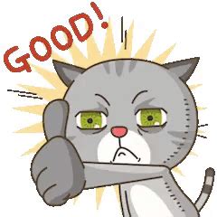 Cat Thumbs Up GIF - Cat Thumbs up Good - Discover & Share GIFs