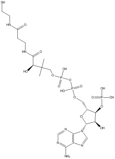 Substrate Report for: Coenzyme-A