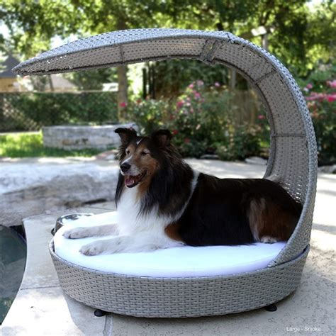 The Best Canopy Dog Beds for Style and Comfort - PuppyLists