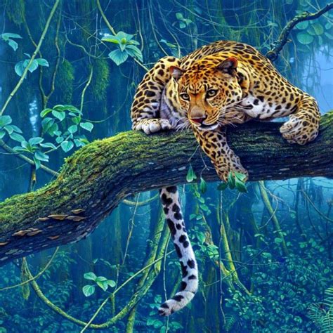 Leopard Jungle Wallpapers - Wallpaper Cave