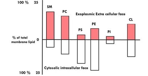 Role of lipid bilayer - Vigyan Sarovar