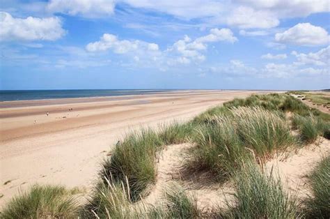 The Best Dog Friendly Beaches in North Norfolk | Fring Estate