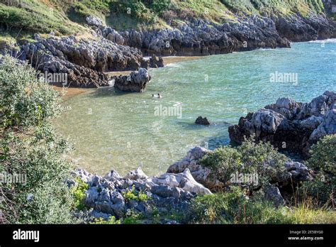 Wild beaches of Cantabria, Spain Stock Photo - Alamy