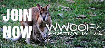 Wwoof Australia - Wwoofing Australia - Wwoofing in Australia