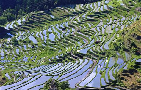 [Hidden Wonders of Japan] Preserving Maruyama's Thousand Rice Paddies ...