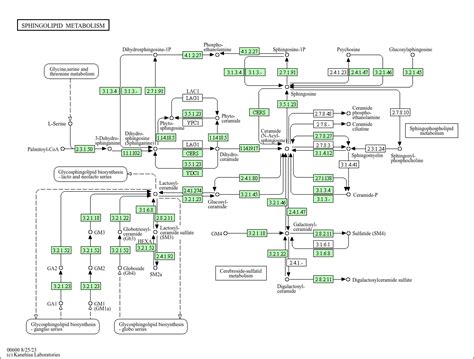 KEGG PATHWAY: Sphingolipid metabolism - Homo sapiens (human)