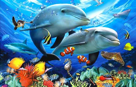 Aquatic Animals Wallpapers - Wallpaper Cave