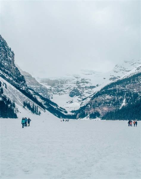 Lake Louise Winter Activities 2021 - canvas-cheesecake