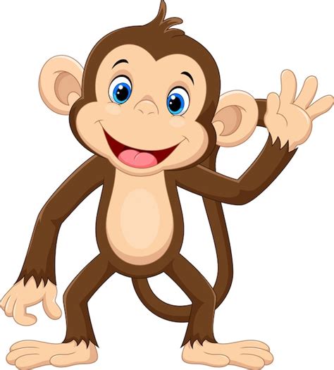 Clipart Monkey