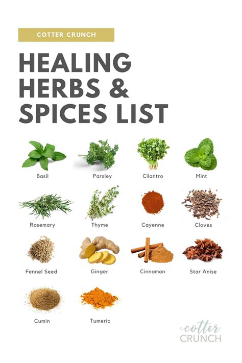 Healing Herbs and Spices List + Guide | LaptrinhX / News