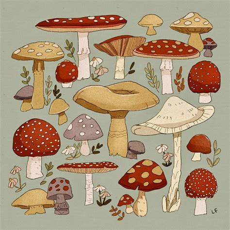 Libby on Twitter | Mushroom art, Mushroom drawing, Cute art