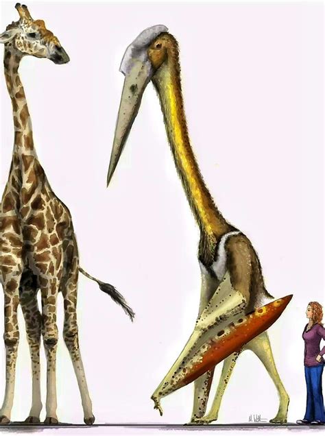 Quetzalcoatlus northropi is an azhdarchid pterosaur known from the Late ...