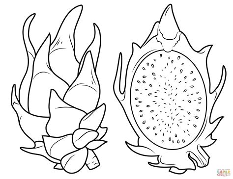 Dragon Fruit and Its Cross Section coloring page | Free Printable ...