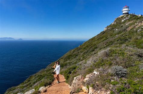 Cape Point Guide - All You Need to Know About the Peninsula