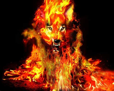 Cool Fire Wolf Wallpapers - Top Những Hình Ảnh Đẹp