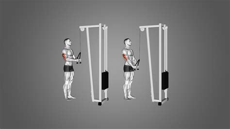 9 Great Triceps Pushdown Alternatives to Maximize Gains - Inspire US