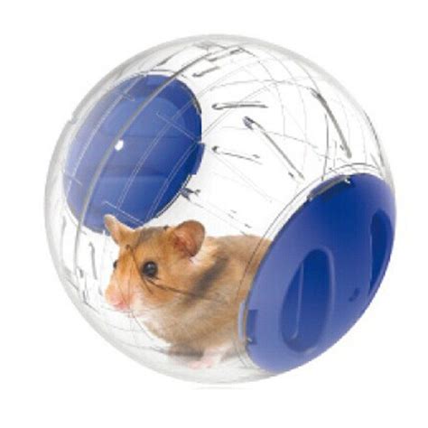 BleuMoo 1 Pcs Plastic Pet Exercise Ball Animals Mice Hamster Gerbil ...