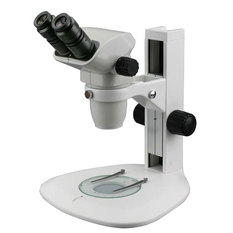 Buy AmScope Ultimate 6.7x-45x Binocular Parfocal Stereo Zoom Microscope ...