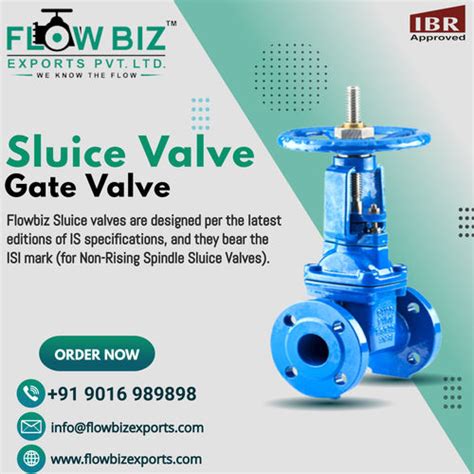 Sluice Valve at 8000.00 INR in Mumbai, Maharashtra | Flowbiz Exports ...