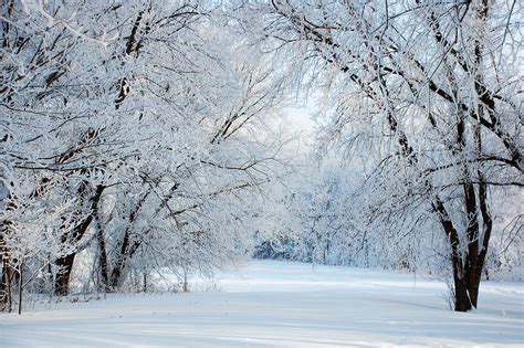 Winter Wonderland Wallpapers - Top Free Winter Wonderland Backgrounds ...