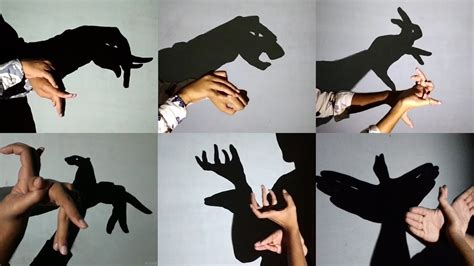 Shadow Hand Puppets Guide : r/coolguides