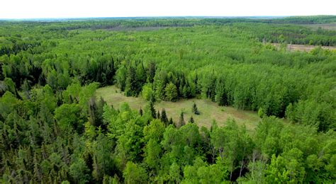 Fond du Lac Band and Nature | The Nature Conservancy in Minnesota