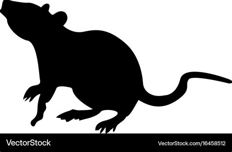 Rat Royalty Free Vector Image - VectorStock