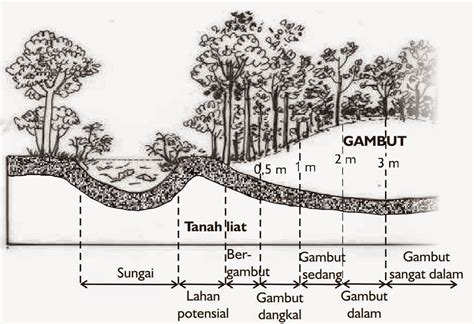 Valuasi Ekonomi Ekosistem Gambut (Tahapan, Kerangka dan Prosedur ...