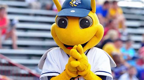 Burlington Bees | MiLB.com