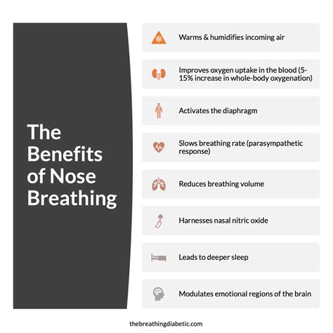 Principle 1 — The Breathing Diabetic