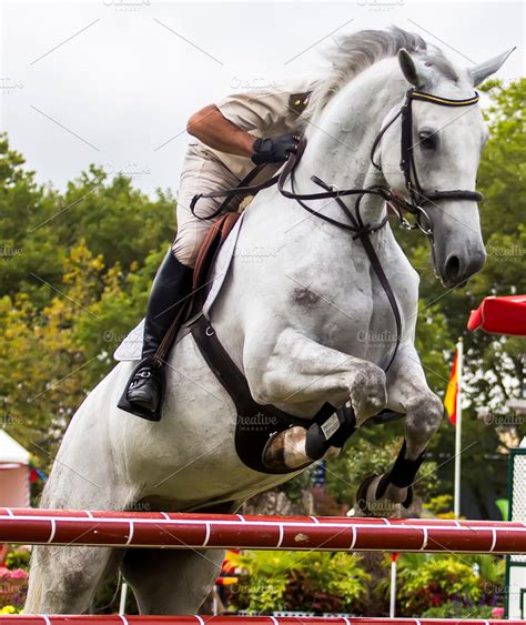 Horse jumping competition | High-Quality Sports Stock Photos ~ Creative ...