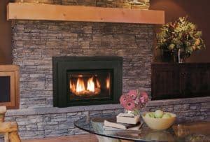 Enviro E20 Gas Fireplace Insert | Safe Home Fireplace