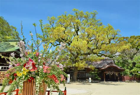 Sumiyoshi Shrine in Fukuoka City, Japan. Stock Image - Image of asia ...