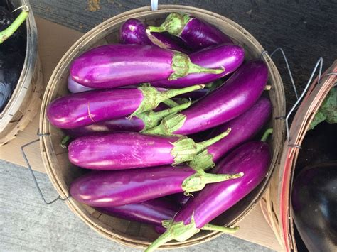 Long Purple Eggplant 40 fresh organic seeds for 2021 | Etsy