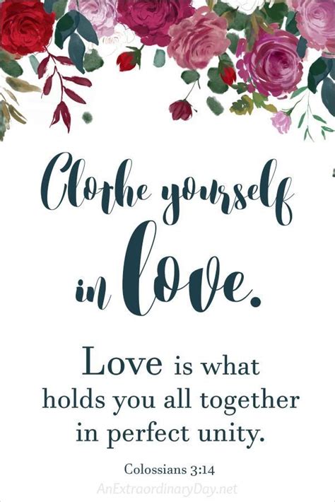 Clothe Yourself in Love - Bible Verses About Love