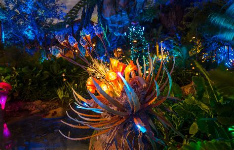 Pandora: The World of Avatar at night at Disney World’s Animal Kingdom ...