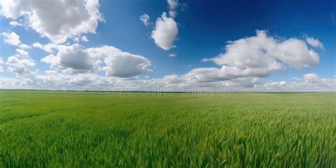 Empty Green Field and Blue Sky with Rare Clouds. Generative AI Stock ...