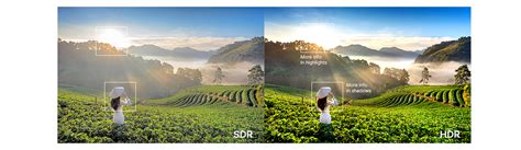 HDR vs SDR: Everything you Need to Know - Muvi One