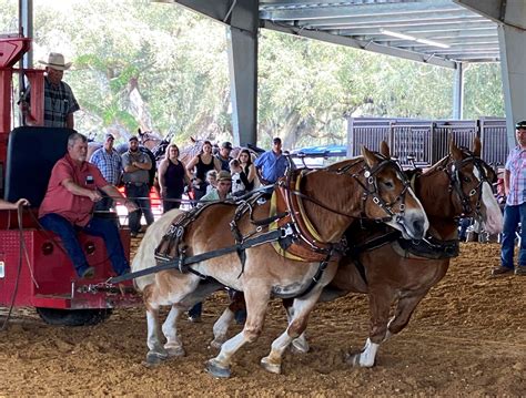 Draft Horse Pull - Florida State Fair