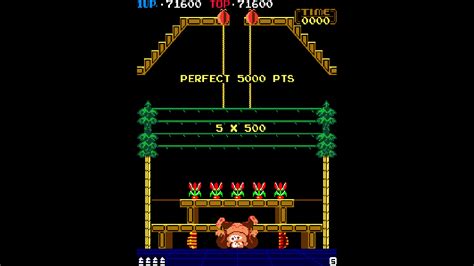 0 Cheats for Arcade Archives DONKEY KONG 3