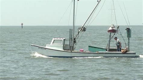 Proposed changes on Atlantic menhaden fishing limits - 47abc