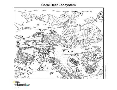 Coloring Pages | National Geographic Society