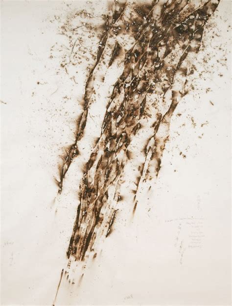 CAI GUO-QIANG : GUNPOWDER ART - Clad Creatures