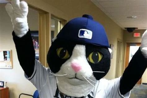 DJ Kitty Is the Best Baseball Mascot Ever