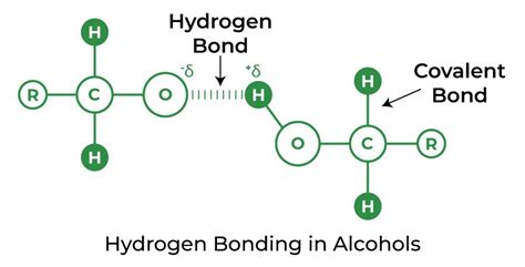 Hydrogen Bonding – Definition, Types, Effects and Properties (2022)