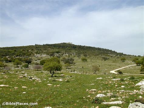 Mount Carmel (BiblePlaces.com)