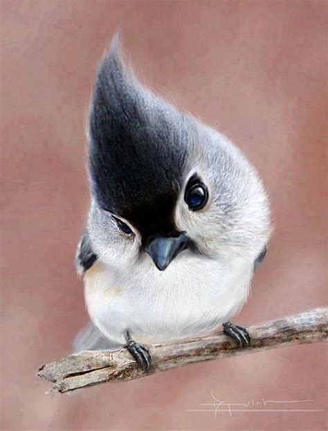 #animals #pets #cute #birds | Animals- Random | Pinterest