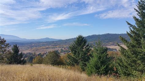 Bald Hill West Trail - Oregon | AllTrails