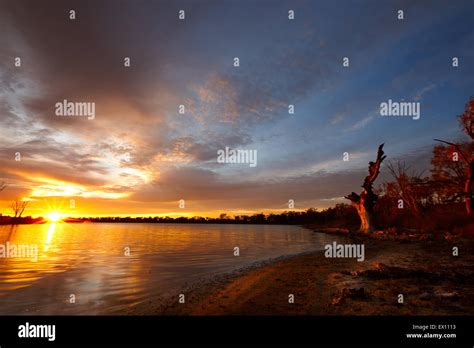 Sunrise over a billabong beside the Murray River, Sunraysia region ...